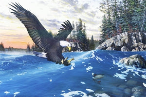 Picture of Endangered Moments