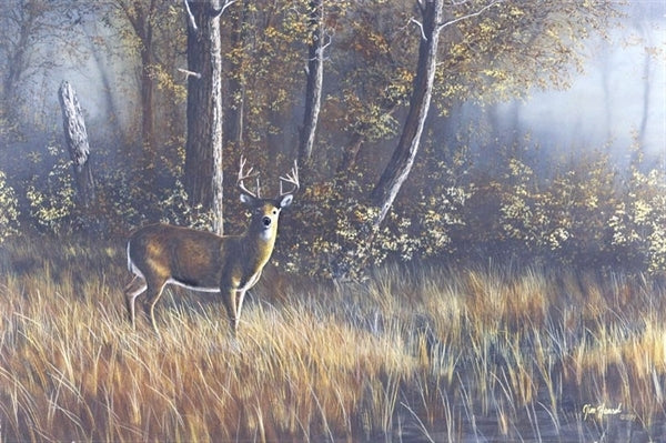 Picture of Morning Whitetail