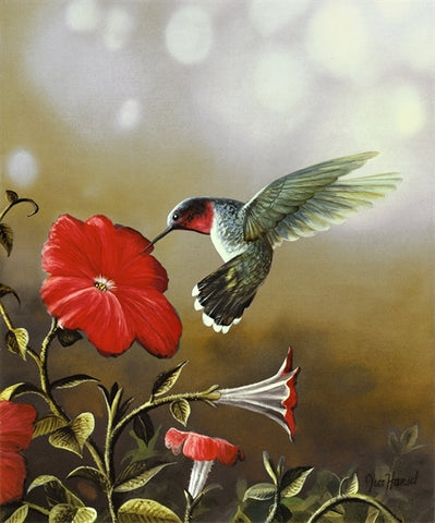 Picture of Ruby Throated Hummingbird