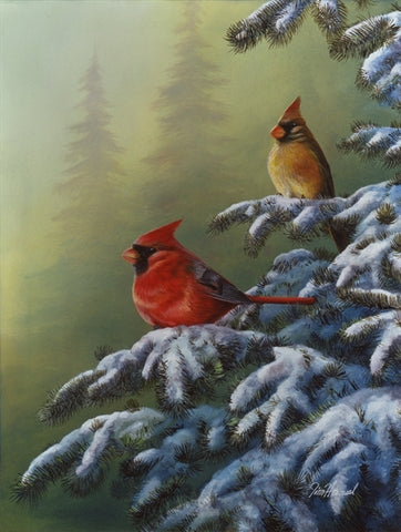 Winter Refuge - Cardinals