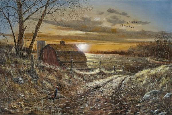 Picture of A Road Less Traveled