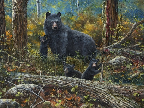 Picture of Age of Wonder Original Oil