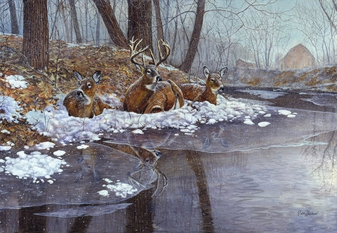 Picture of Creekside