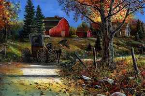 Picture of Country Roads