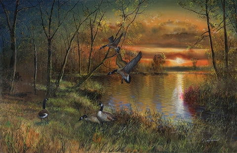 Picture of Evening Refuge