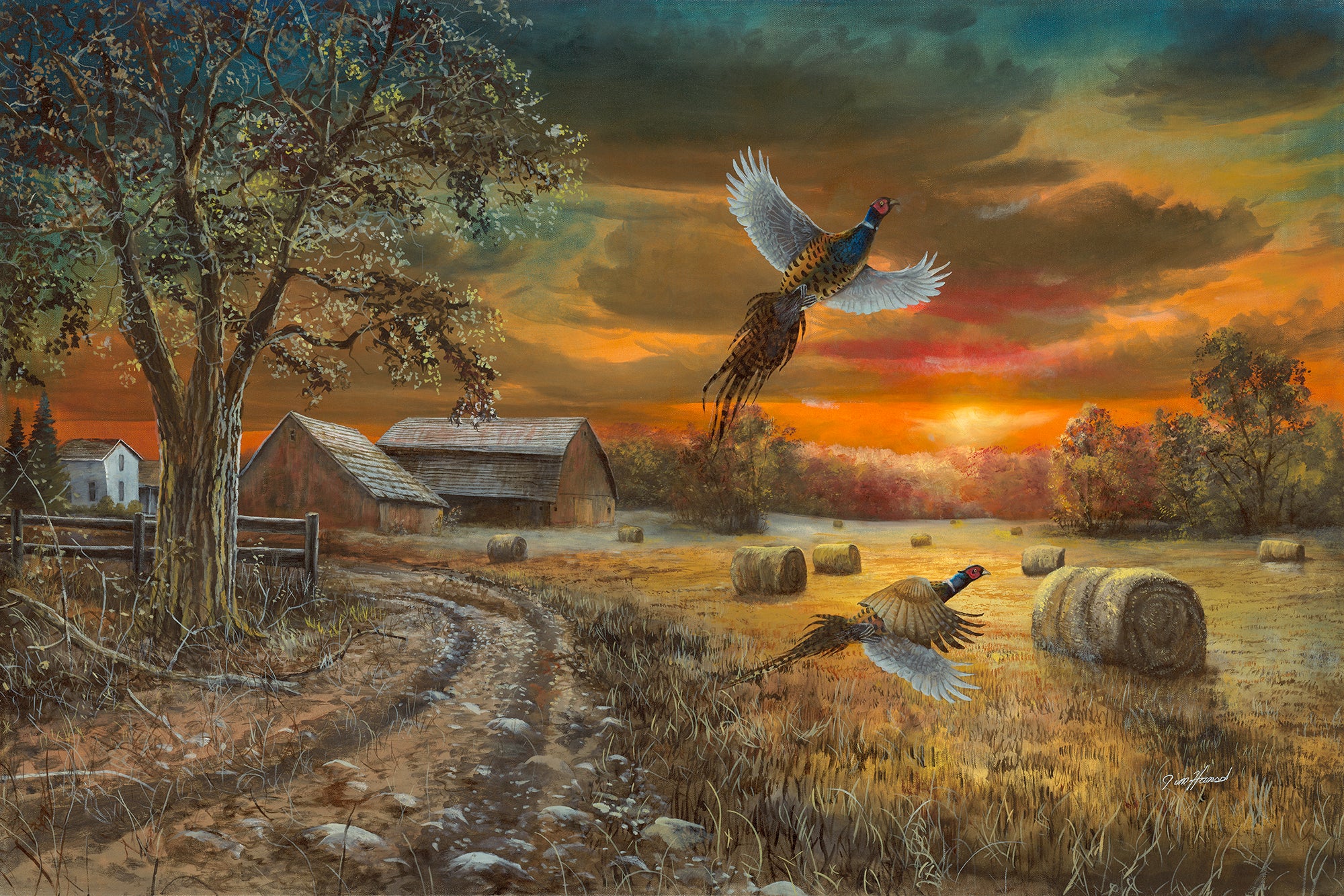 Autumn Fields
