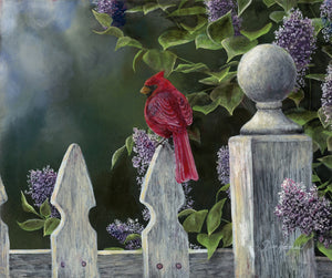 Bird's Eye View - Cardinal