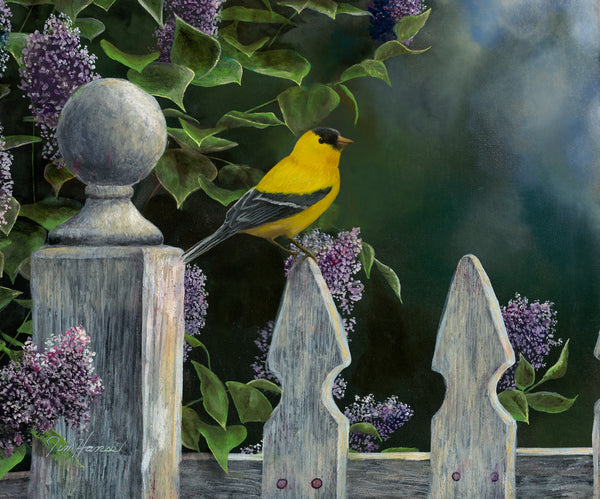 Bird's Eye View - Goldfinch