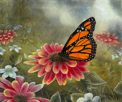 Garden Visitor - Monarch Butterfly