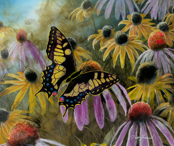 Garden Visitor - Swallowtail Butterfly