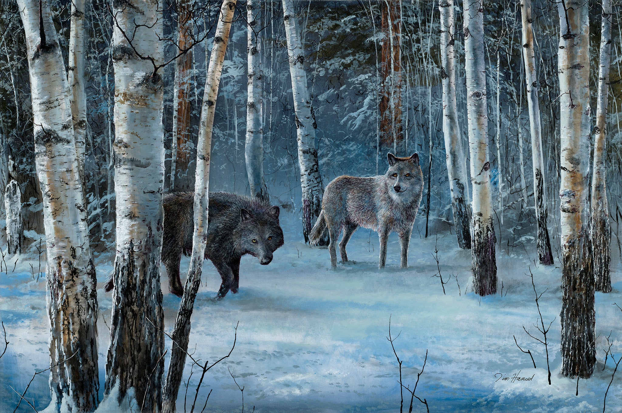 Spirit of the Wild
